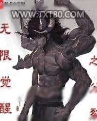 《无限觉醒之分裂》小说封面