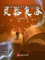 《灵器复苏》小说封面