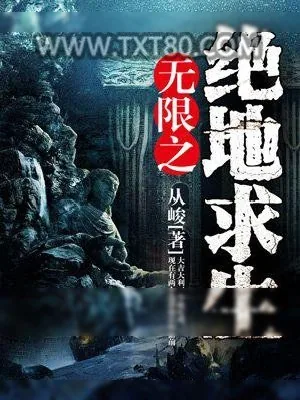 《无限之绝地求生》小说封面