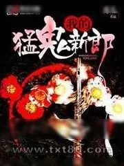 《我的猛鬼新郎》小说封面