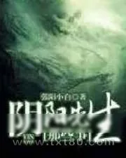《阴阳先生那些事》小说封面