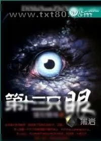 《第十三只眼》小说封面