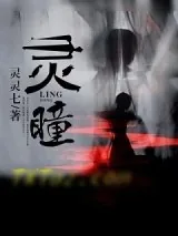 《灵瞳》小说封面
