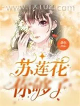 《苏莲花你够了》小说封面
