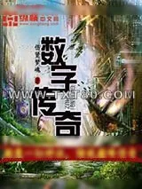 《数字传奇》小说封面