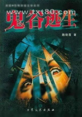 《鬼谷逃生》小说封面