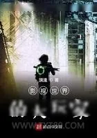《影视世界的大玩家》小说封面