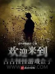 《欢迎来到古古怪怪游戏盒子》小说封面