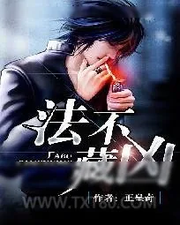 《法不藏凶》小说封面