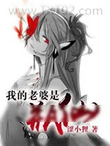 《我的老婆是瓶仙》小说封面