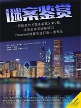 《谜案鉴赏》小说封面