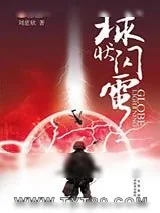 《球状闪电》小说封面