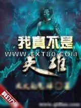 《我真不是英雄》小说封面