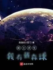 《废土求生我有戴森球》小说封面