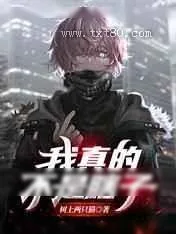 《我真的不是瞎子》小说封面