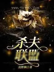 《杀夫联盟》小说封面