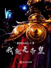 《我就是人类帝皇》小说封面