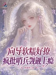 《向导软糯好撩，疯批哨兵觊觎上瘾》小说封面