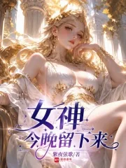 《女神今晚留下来》小说封面