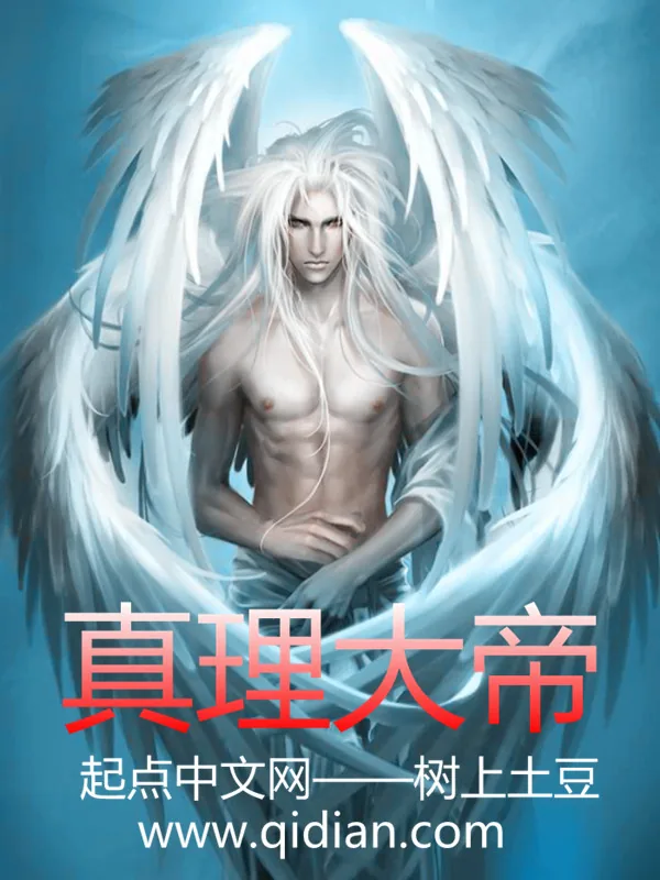 《真理大帝》小说封面