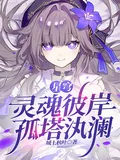 《星穹：灵魂彼岸，孤塔汍澜》小说封面