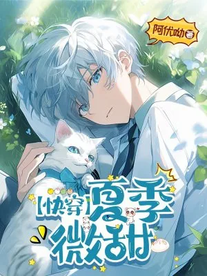 《快穿之夏季微甜》小说封面