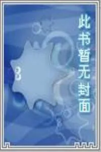 《幻想之极》小说封面