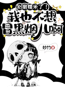 《别撒糯米了！我也不想冒黑烟儿啊》小说封面