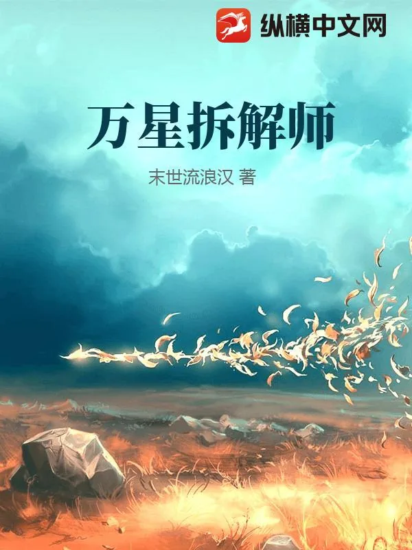 《万星拆解师》小说封面