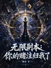 《无限副本：你的赌注归我了》小说封面