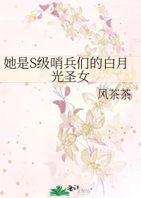 《她是S级哨兵们的白月光圣女》小说封面