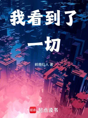 《我看到了一切》小说封面