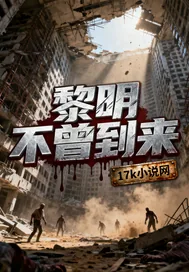 《黎明不曾到来》小说封面