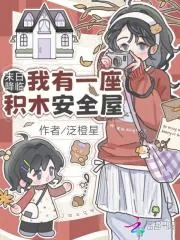 《末日降临：我有一座积木安全屋》小说封面