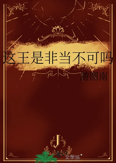 《这王是非当不可吗》小说封面