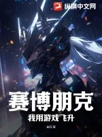《赛博朋克：我用游戏飞升》小说封面
