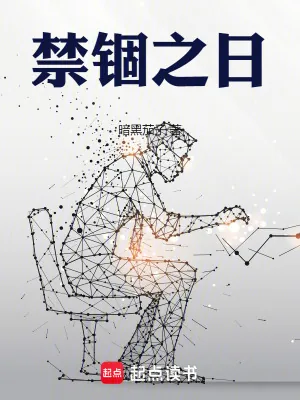《禁锢之日》小说封面