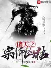 《诸天之宗师凶猛》小说封面