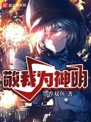 《敬我为神明》小说封面