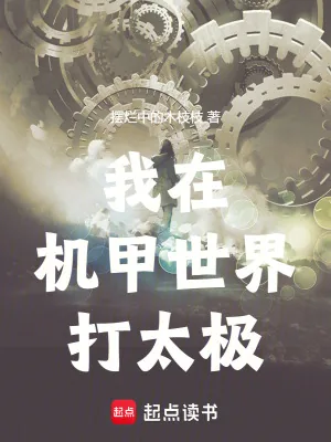 《我在机甲世界打太极》小说封面