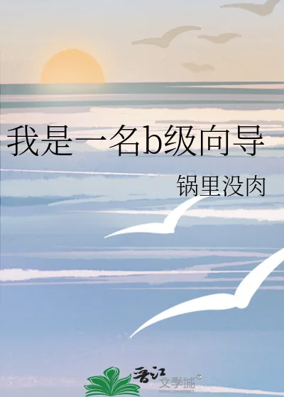《我是一名b级向导》小说封面
