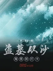 《盗墓从沙海签到打卡》小说封面