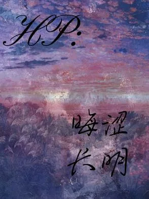 《HP：晦涩长明》小说封面