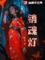 《销魂灯》小说封面