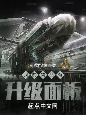 《我的物品有升级面板》小说封面