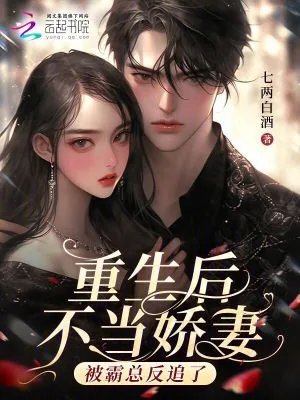 《重生后不当娇妻，被霸总反追了》小说封面