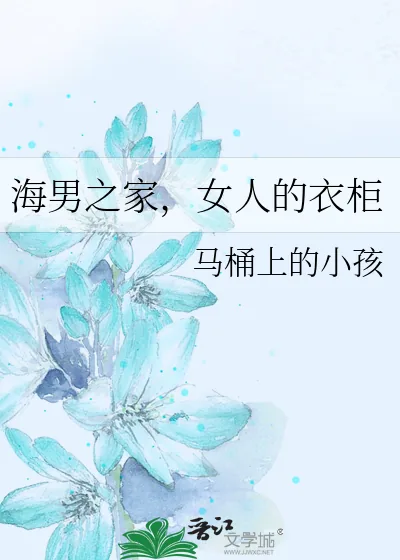 《海男之家，女人的衣柜》小说封面