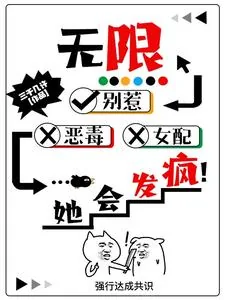 《无限：别惹恶毒女配，她会发疯！》小说封面
