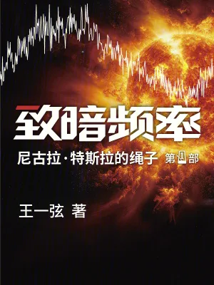 《致暗频率》小说封面