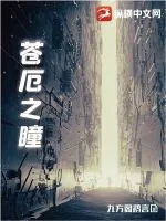 《苍厄之瞳》小说封面